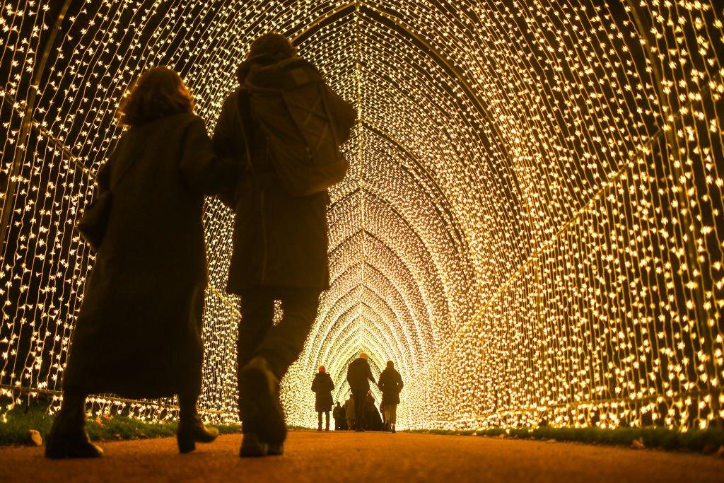 Light tunnel at the Royal Botanic Gardens