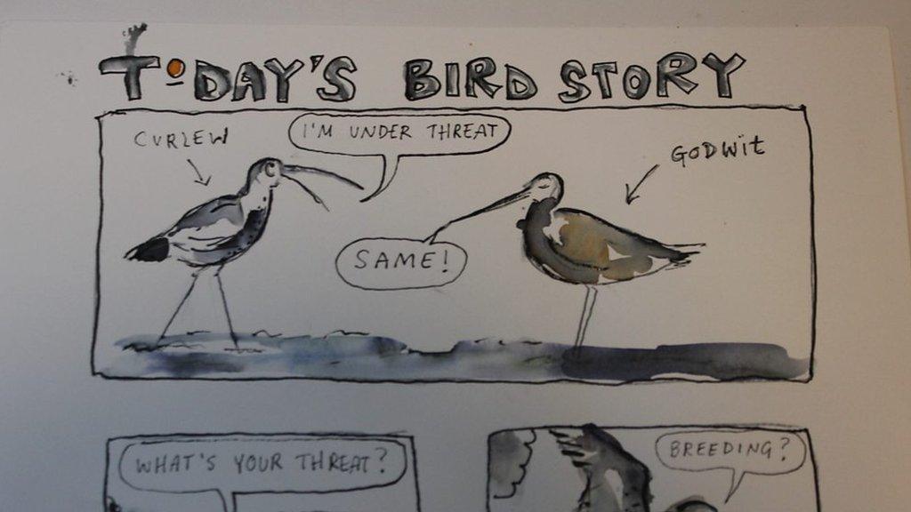 A comic book story of birds