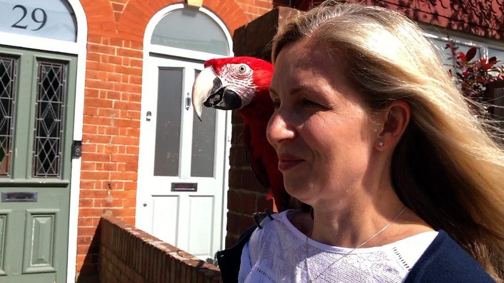 Woman with parrot on shoulder