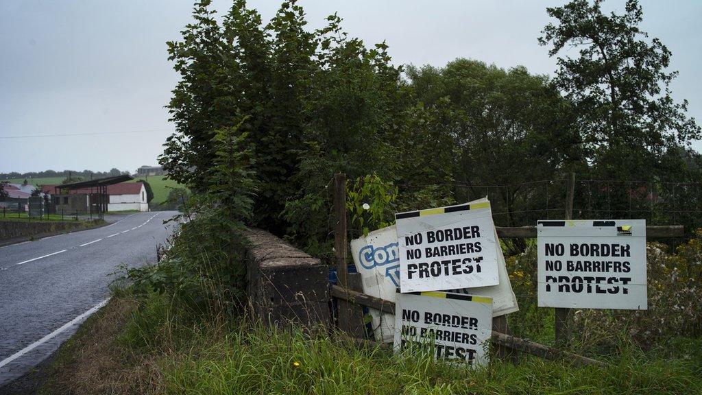 Protest signs at border