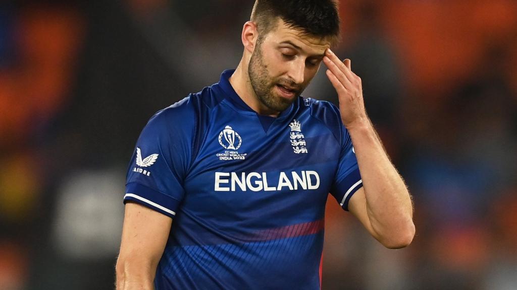 England fast bowler Mark Wood wipes his brow