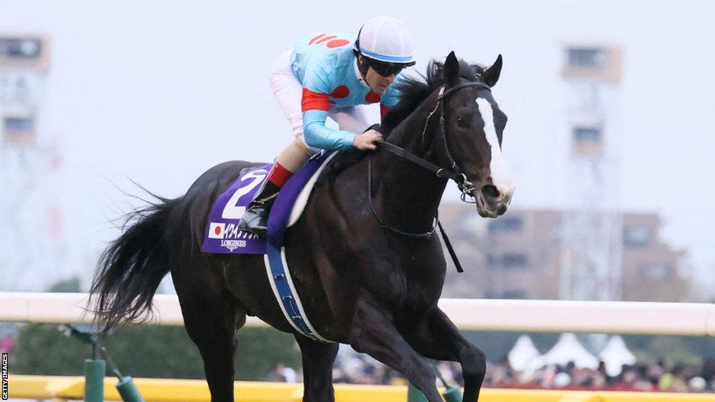 Christophe Lemaire rides Equinox to victory in the Japan Cup