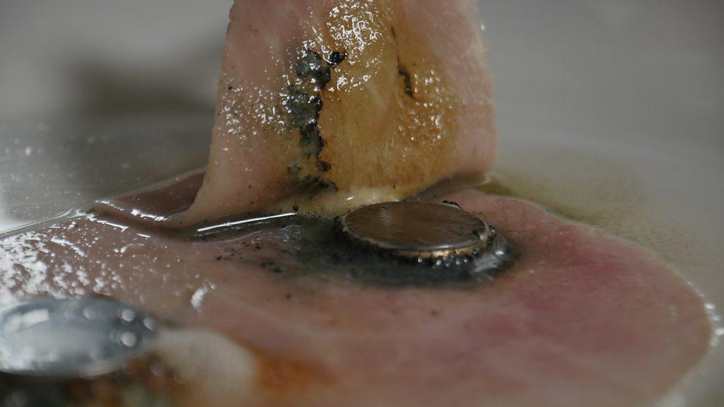 button battery on a piece of ham