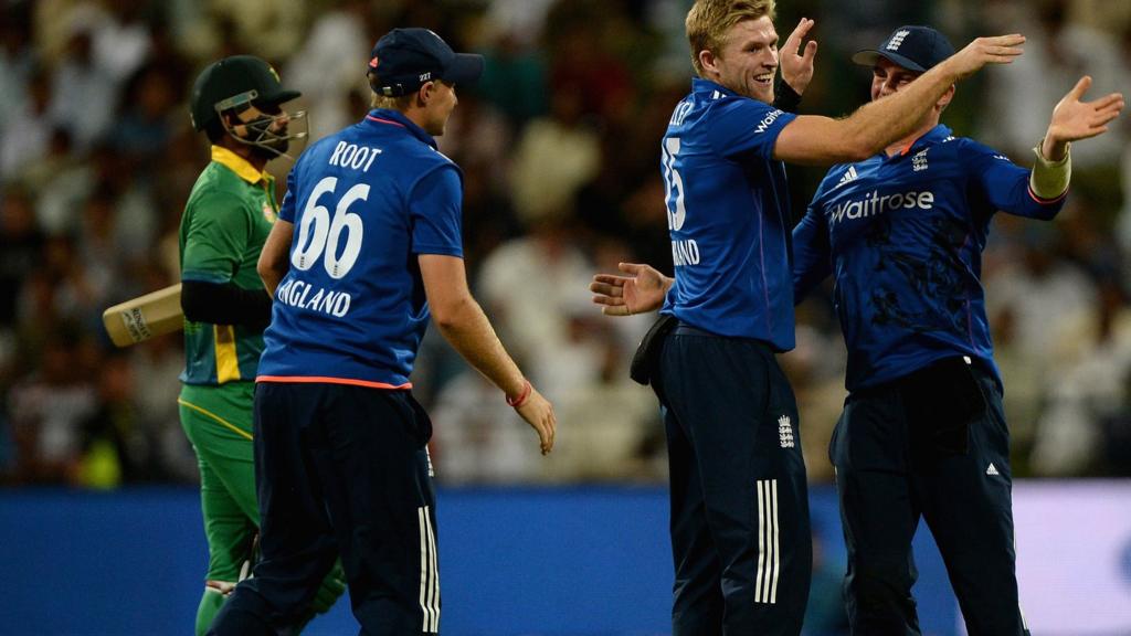 David Willey celebrates