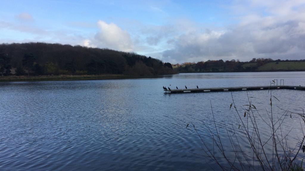 Thornton Reservoir