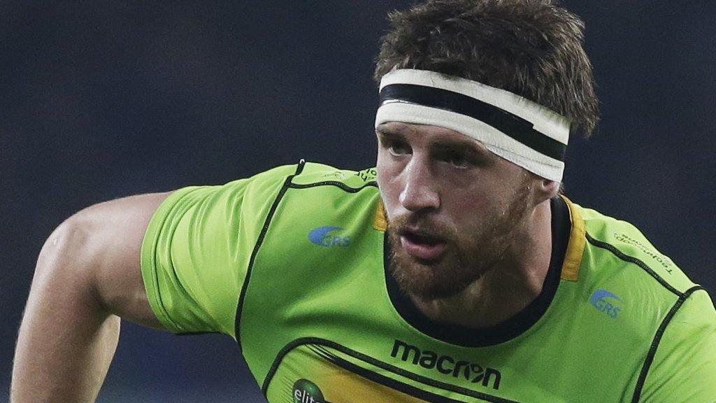 Tom Wood in action for Northampton Saints