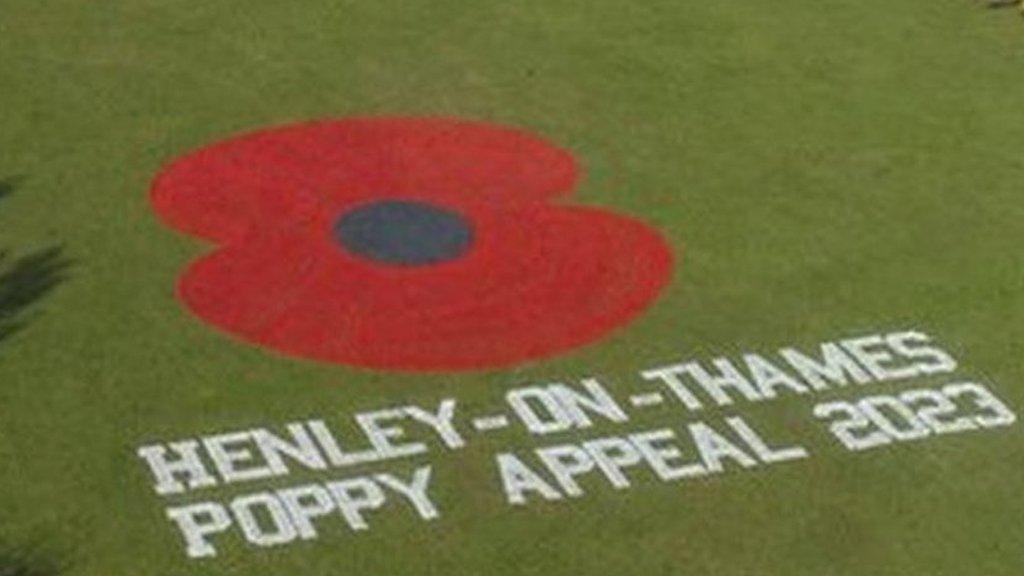 Bird's eye view of the poppy painting