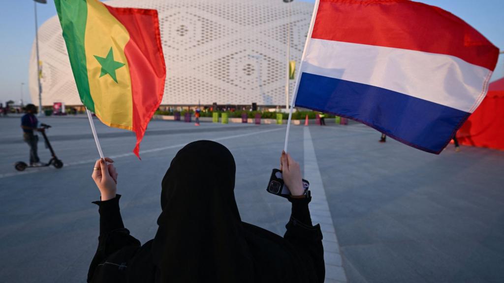 Fan at Senegal v Netherlands