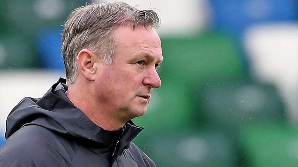 Northern Ireland Manager Michael O'Neill