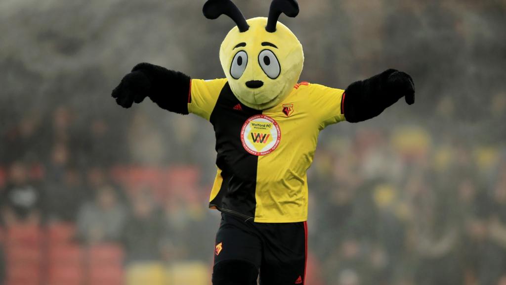 Watford mascot