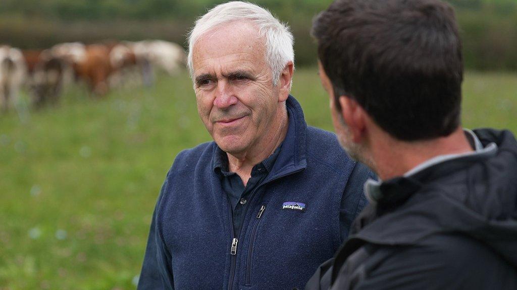 Man stands in field with cows in background.