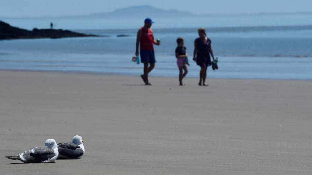 Seagulls and a family on Barry Island beach