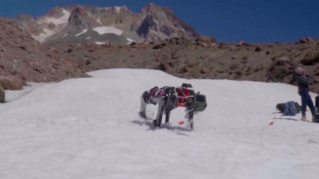 Robot dog in Oregon