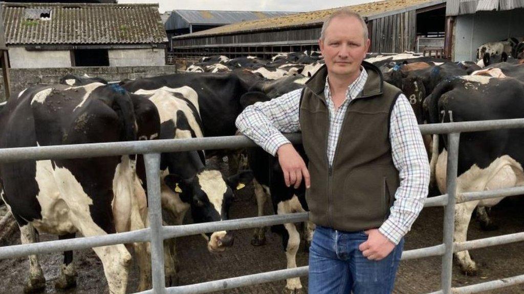 A farmer in a checked shirt standing in front of a bunch of cows