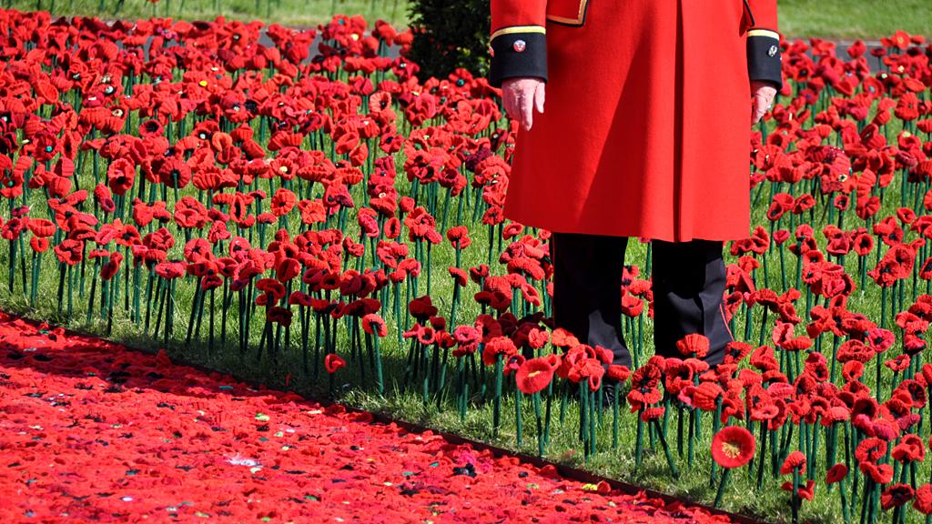 Chelsea Flower Show 2016: '5000 poppies' crochet display at the barracks