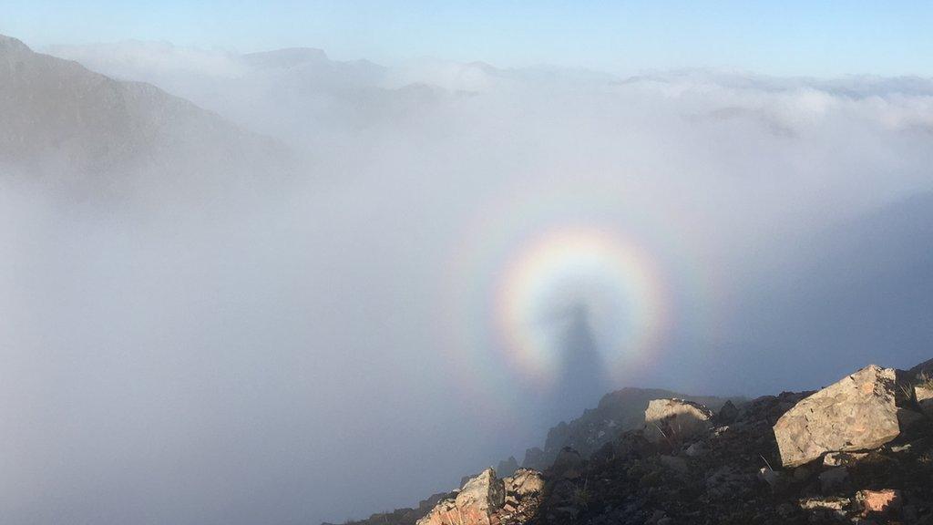 Carol Purcell's brocken spectre