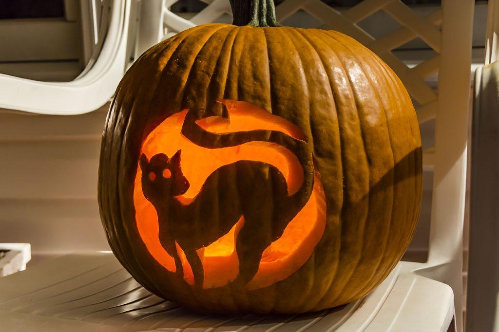 Image of a carved pumpkin with a cat inside