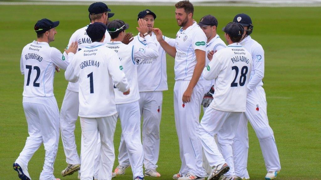 Derbyshire celebrate a wicket