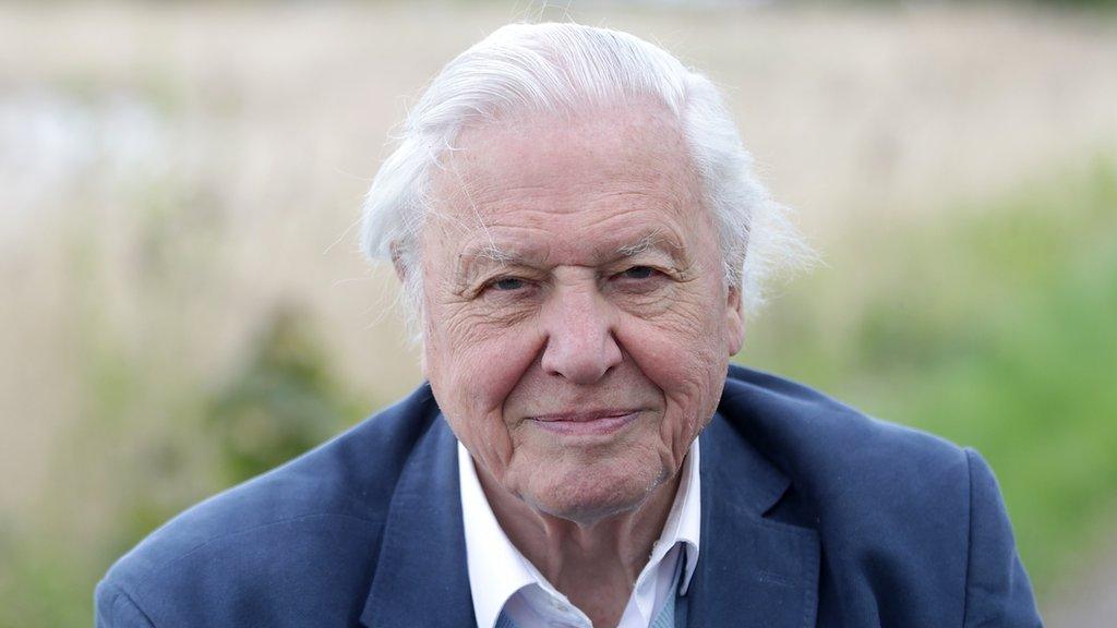 David Attenborough.