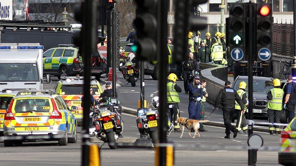 Emergency services at Westminster