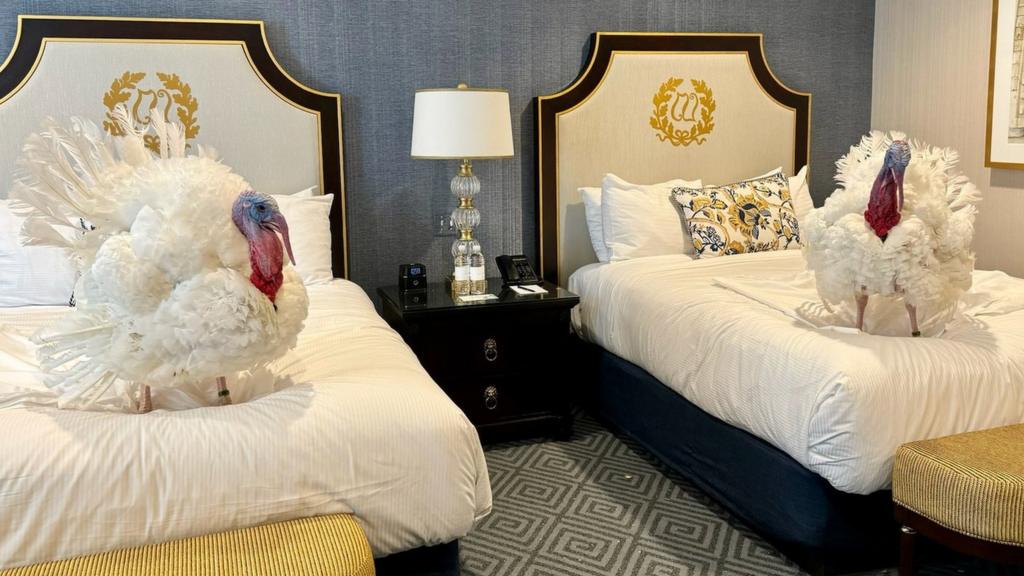 Turkeys on hotel beds