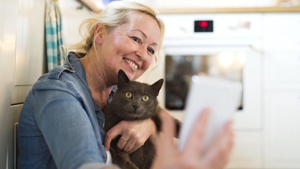 Woman taking selfie with cat