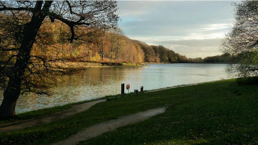 Roundhay Park