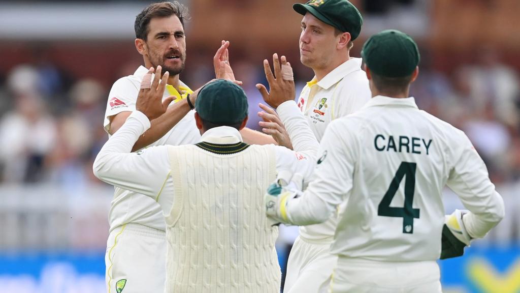 Australia players celebrate a wicket