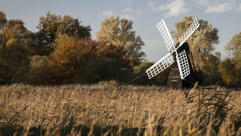 Wicken Fen