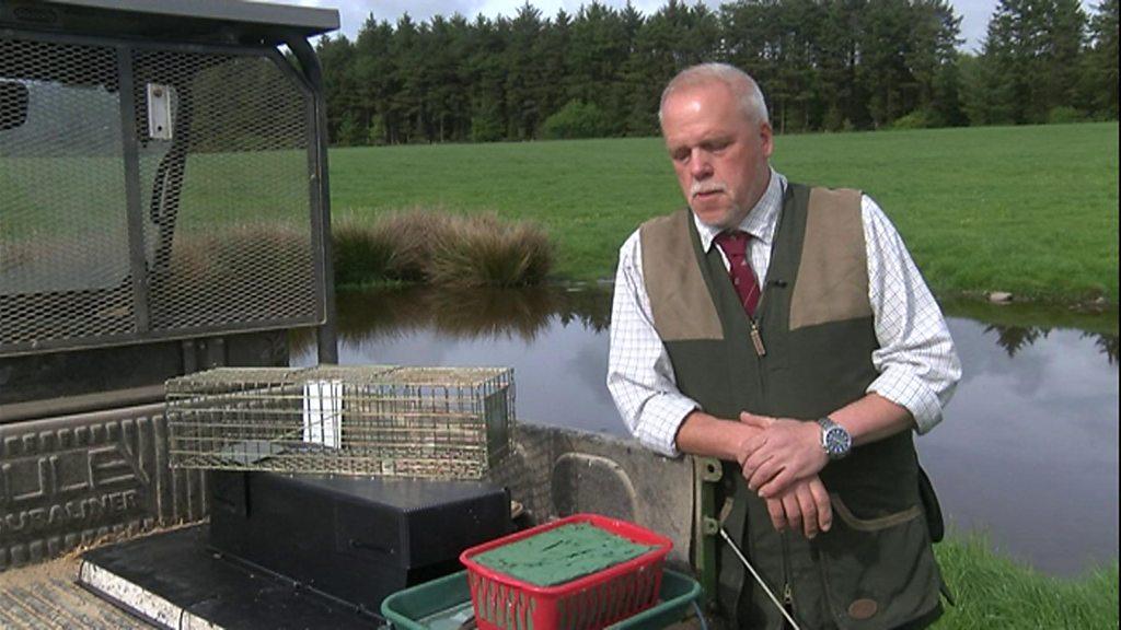 BASC countryside officer Meurig Rees