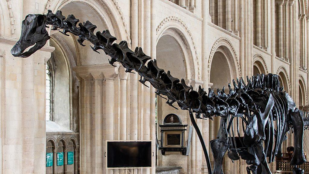 Dippy at Norwich Cathedral