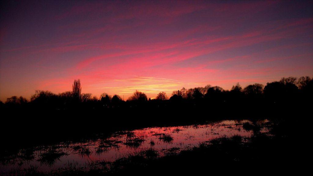 Sun on the horizon bringing pink skies over a lake surrouned by trees.