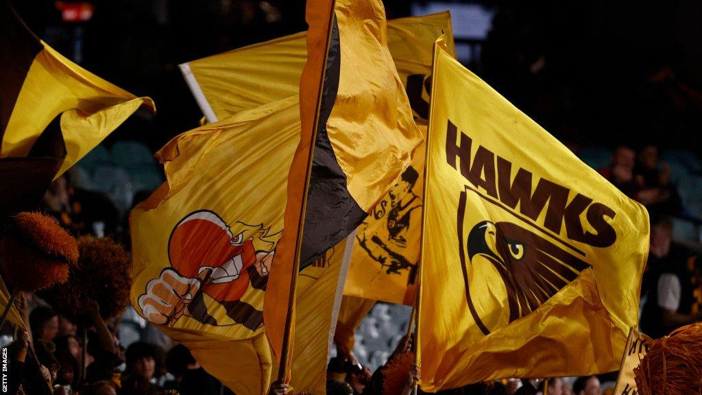 Hawthorn Football Club flags waving in the air