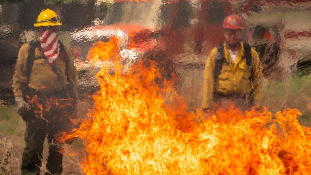 Firefighters training