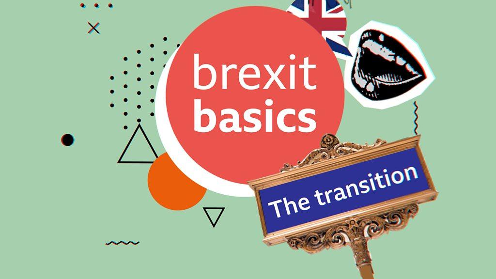 Collage with the words 'Brexit basics' and 'the transition'