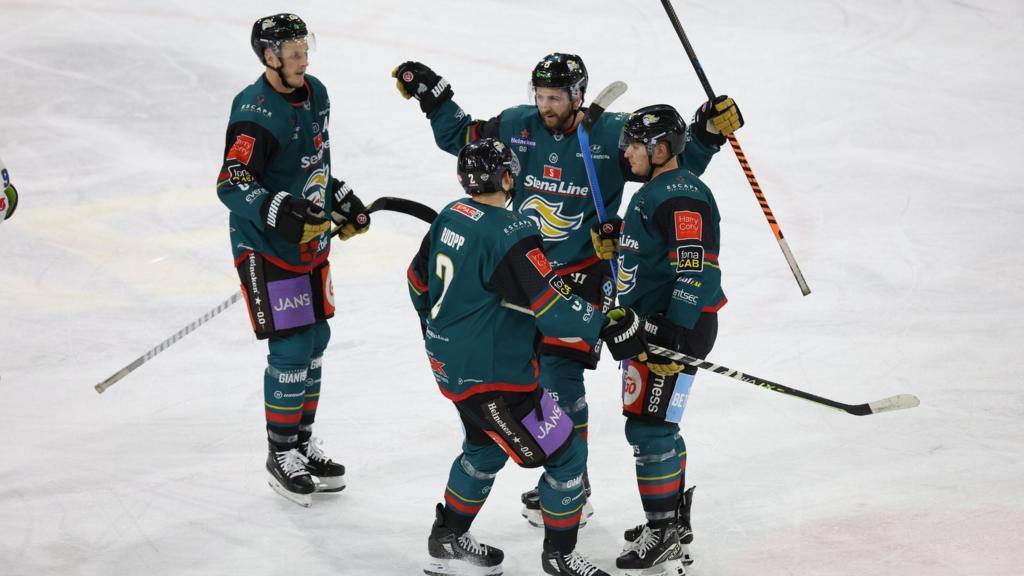 Belfast Giants celebrate a goal