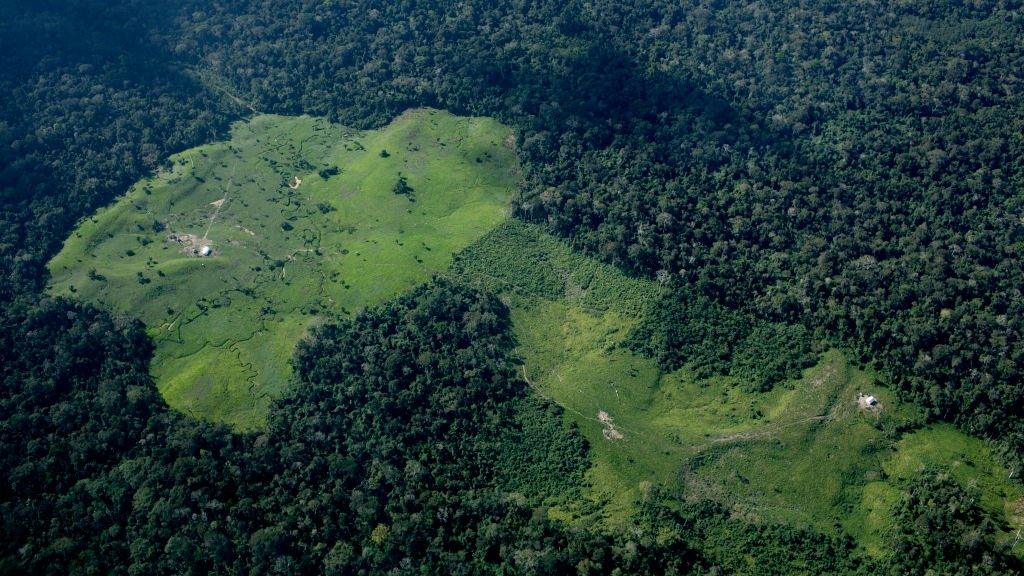 deforestation-in-amazon.