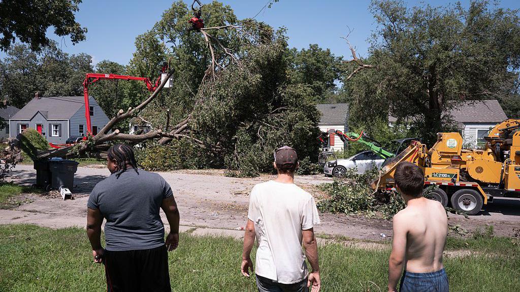 Three men watch as large tree that has fallen is cut