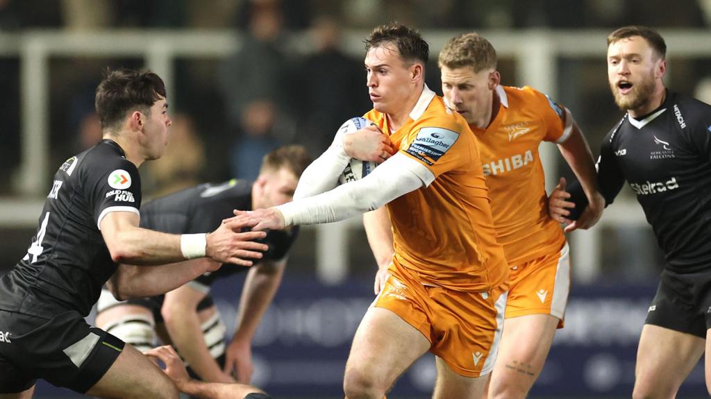 England stars to the fore as Sale win at Newcastle
