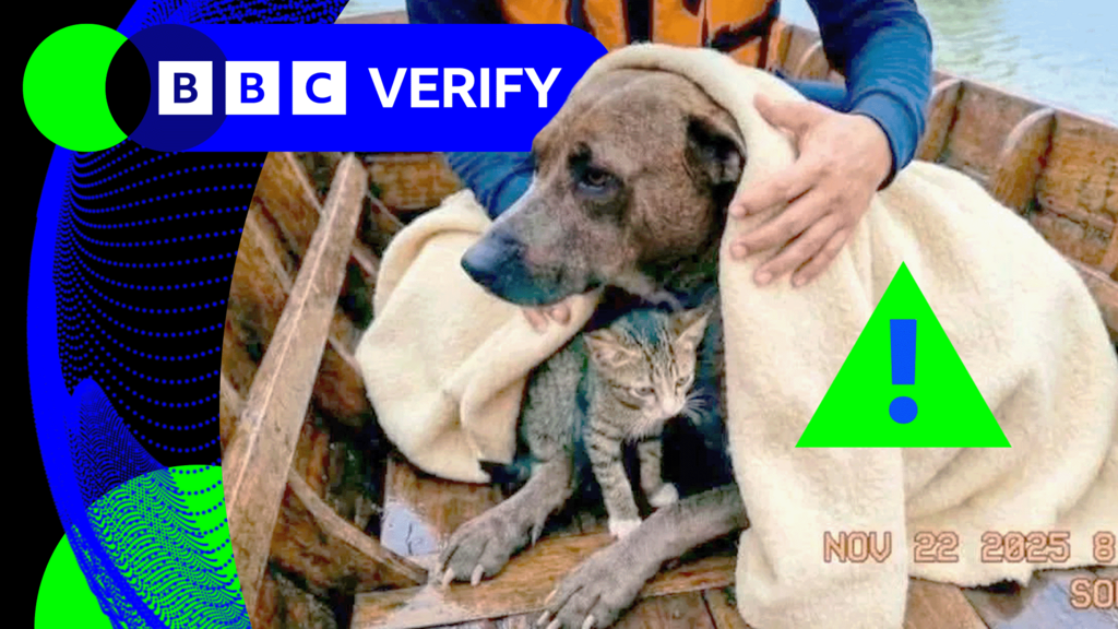 An AI-manipulated image of a brown dog with a tabby cat in a boat having been rescued from flooding in Thailand