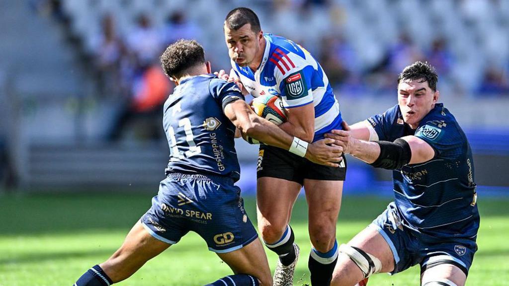 Chwaraewyr y Dreigiau yn herio capten y y Stormers, Ruhan Nel, wrth iddyn golli i'r tîm cartref yn Cape Town brynhawn Sul