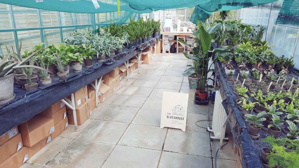 A greenhouse with plans lined up on shelves either side.