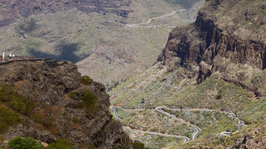 Ravine in Tenerife where Slater was found