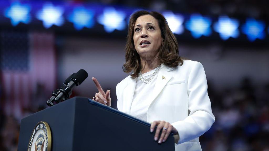 Democratic presidential nominee, U.S. Vice President Kamala Harris speaks at a campaign rally at the Enmarket Arena August 29, 2024 in Savannah, Georgia. 