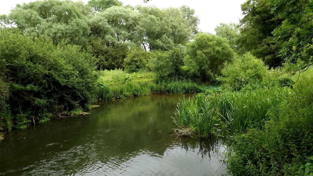 River Stour in Suffolk