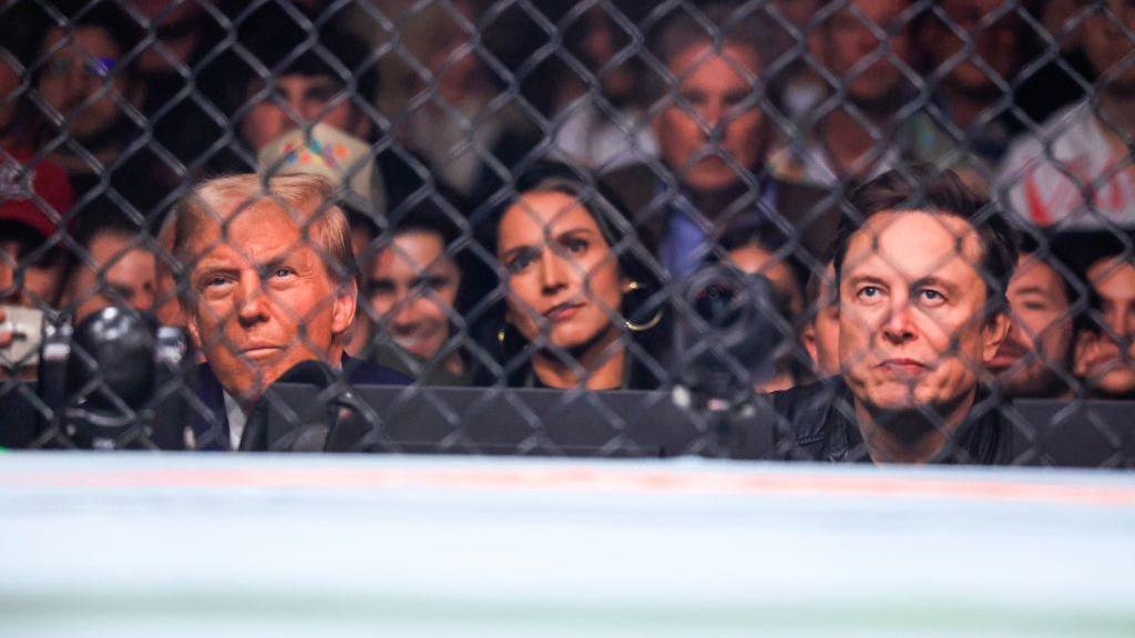 Donald Trump, Tulsi Gabbard and Elon Musk at UFC 309