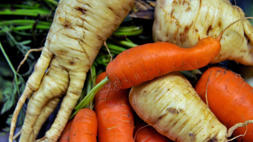 A close-up of oddly shaped carrots and parsnips