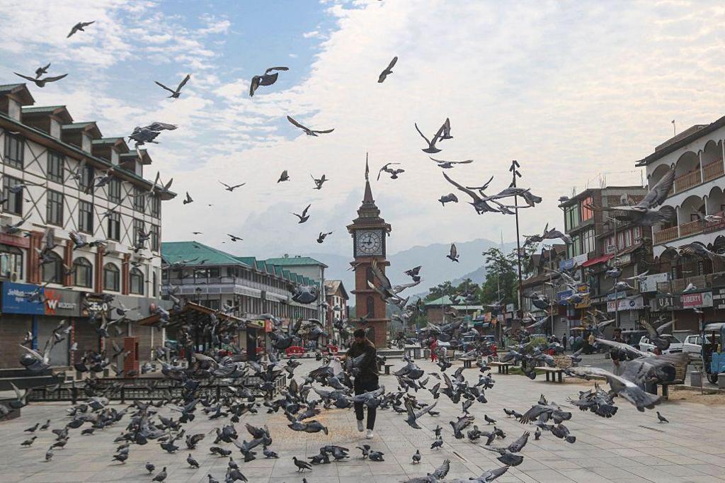 A man feeds pigeons near the clock tower in Srinagar, Jammu and Kashmir, India.