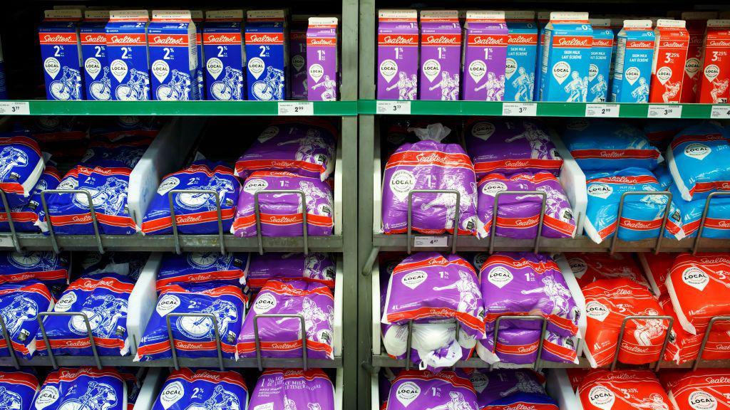 Shelves of milk, with milk cartons on a top shelf and bags of milk on lower shelves, with different colour packaging - blue, purple or red - representing the fat percentage. 