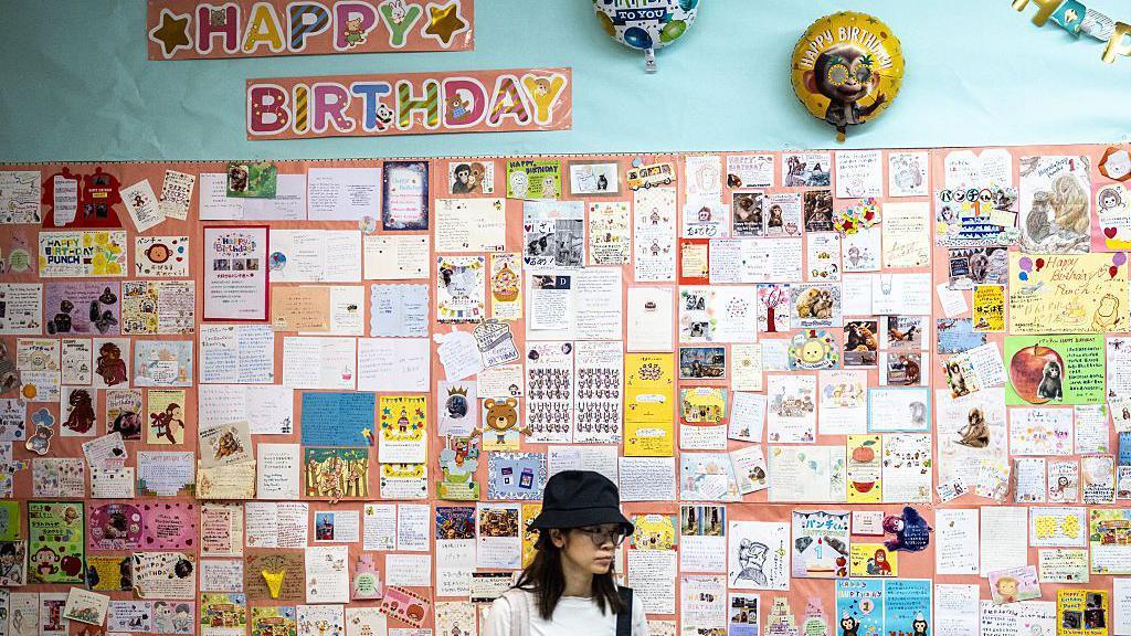 A woman stands in front of a wall filled with cards, many with pictures of monkeys on, there is a banner which says Happy Birthday and two balloons. 